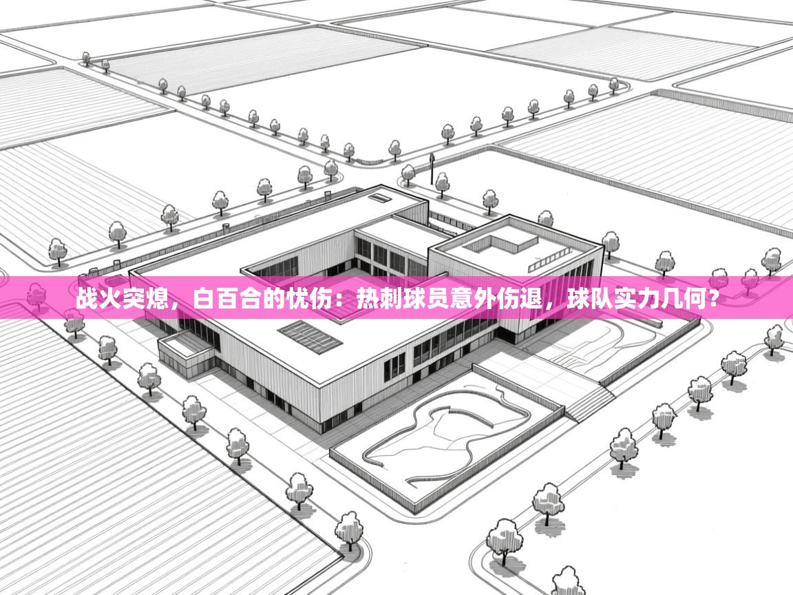 战火突熄，白百合的忧伤：热刺球员意外伤退，球队实力几何？