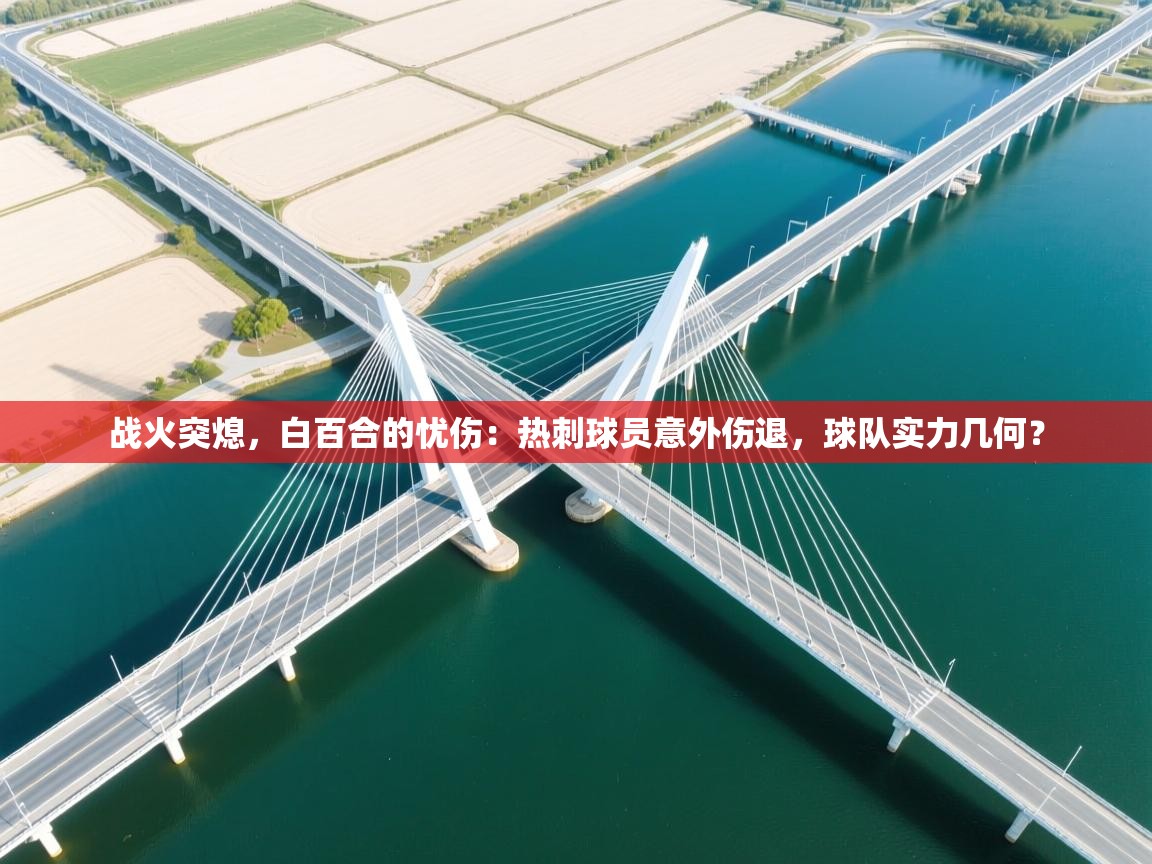 战火突熄，白百合的忧伤：热刺球员意外伤退，球队实力几何？  第2张