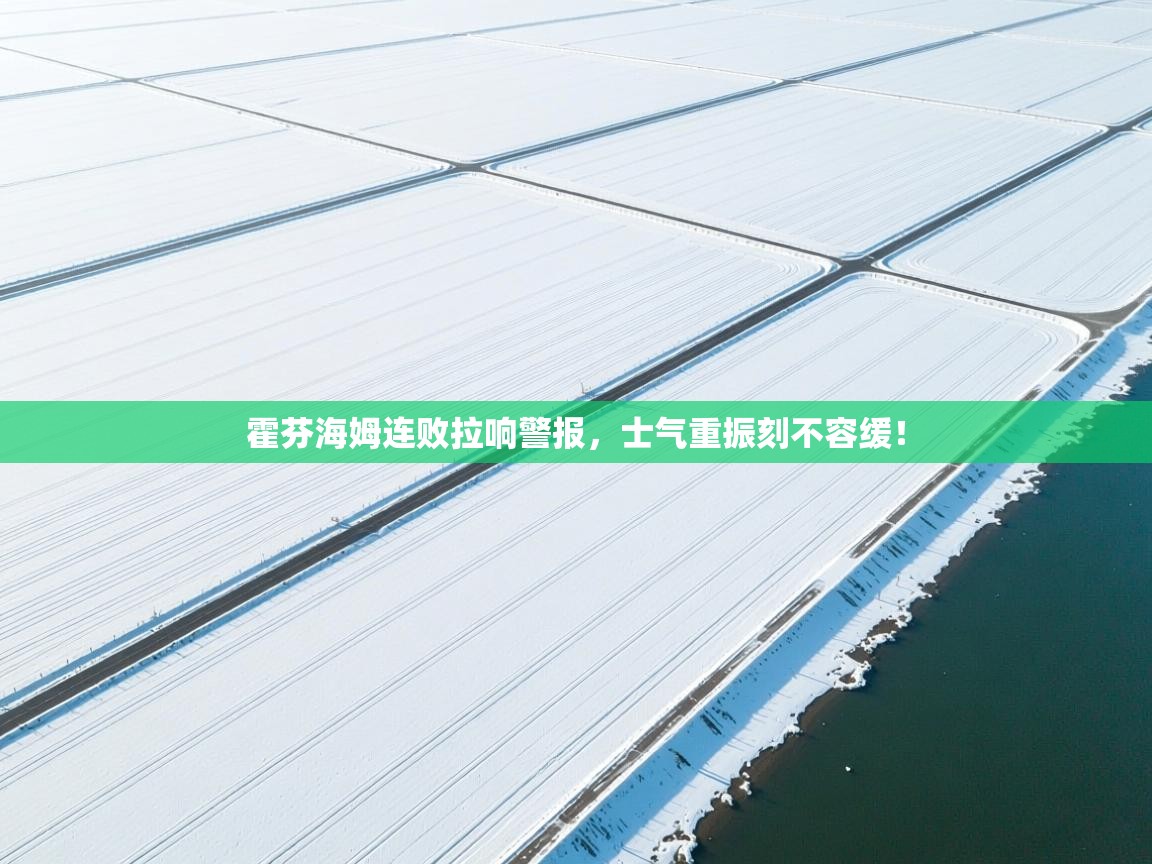 霍芬海姆连败拉响警报，士气重振刻不容缓！  第2张